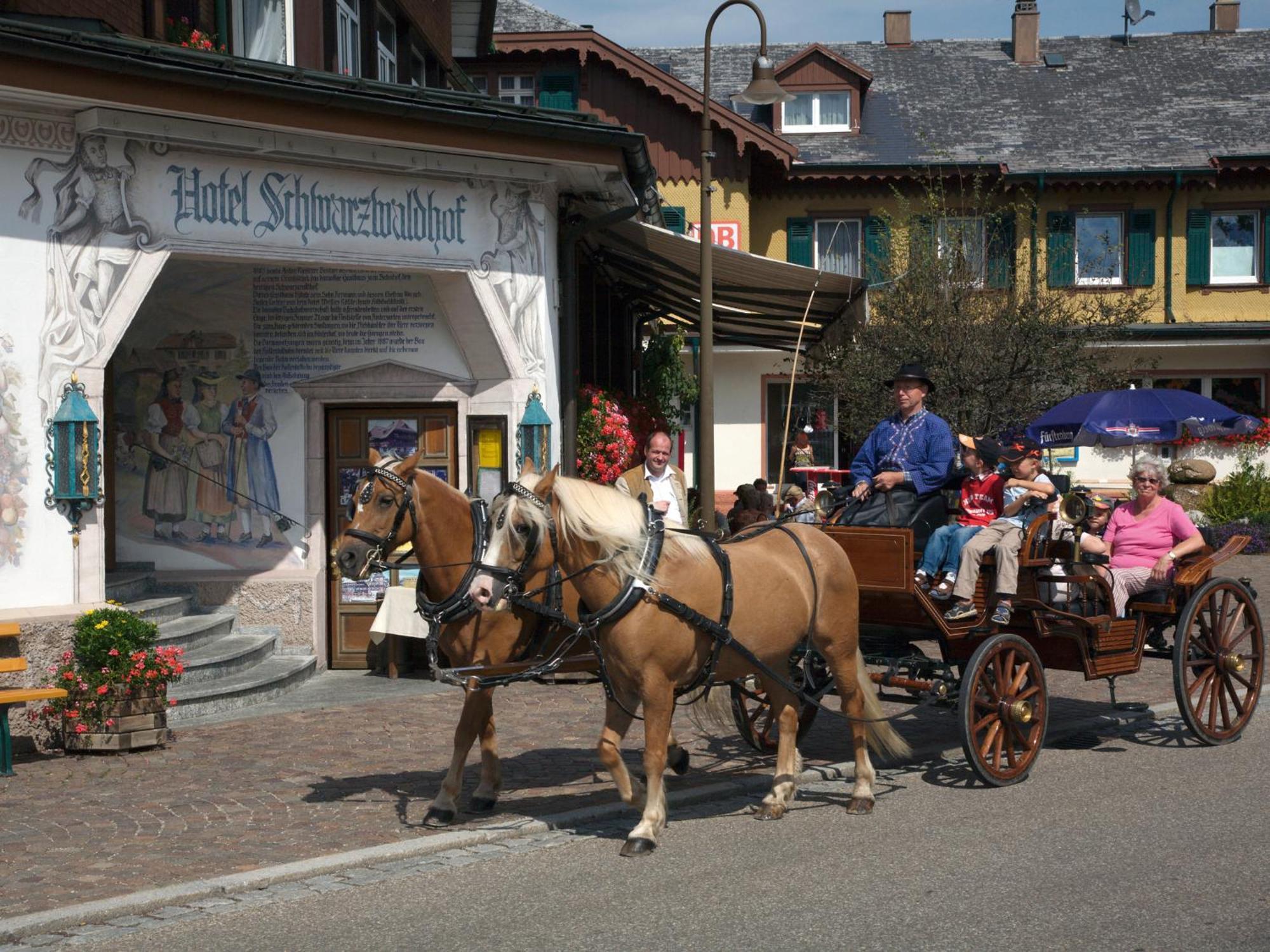 Hotel Schwarzwaldhof Hinterzarten Exterior photo